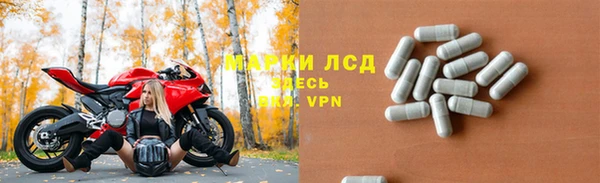 ГАЛЛЮЦИНОГЕННЫЕ ГРИБЫ Карпинск