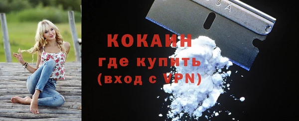 spice Каменка