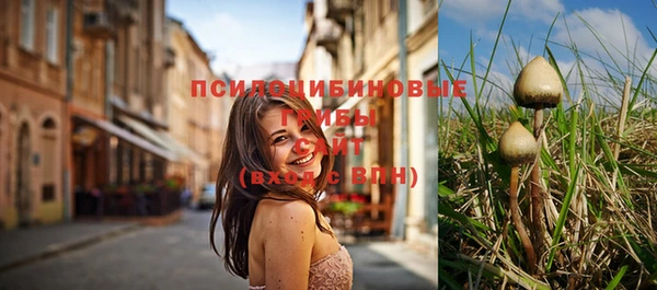 меф Каменск-Шахтинский