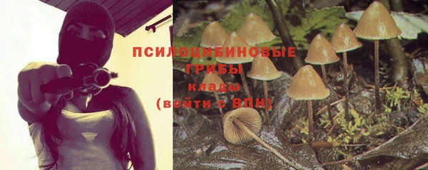 ГАЛЛЮЦИНОГЕННЫЕ ГРИБЫ Карпинск