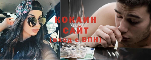 spice Каменка