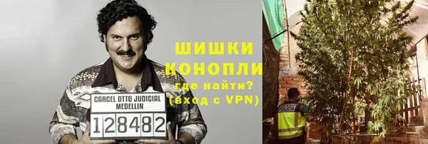 spice Каменка