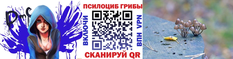 Купить закладки  Асино  Галлюциногенные грибы мицелий 